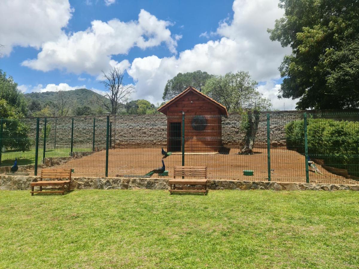 Finca Los Angeles Hospederia & Sociales Huasca de Ocampo Exterior foto