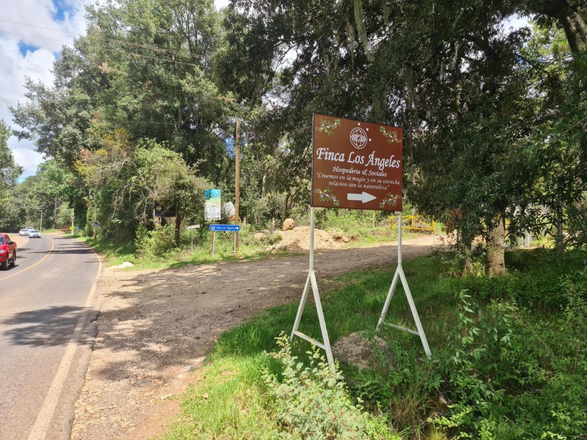 Finca Los Angeles Hospederia & Sociales Huasca de Ocampo Exterior foto
